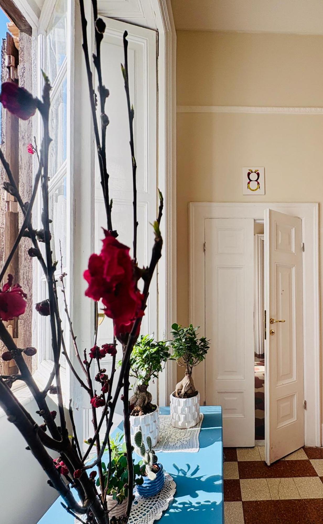 Voglia 'e Turna Guest house Naples