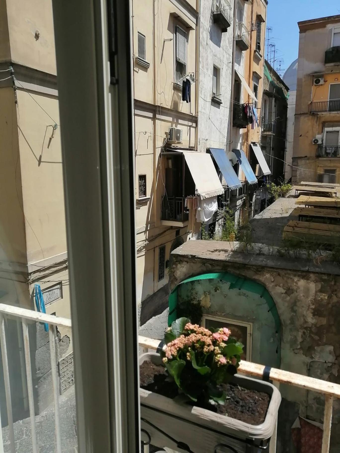 Il Vicoletto Sul Castello * Naples