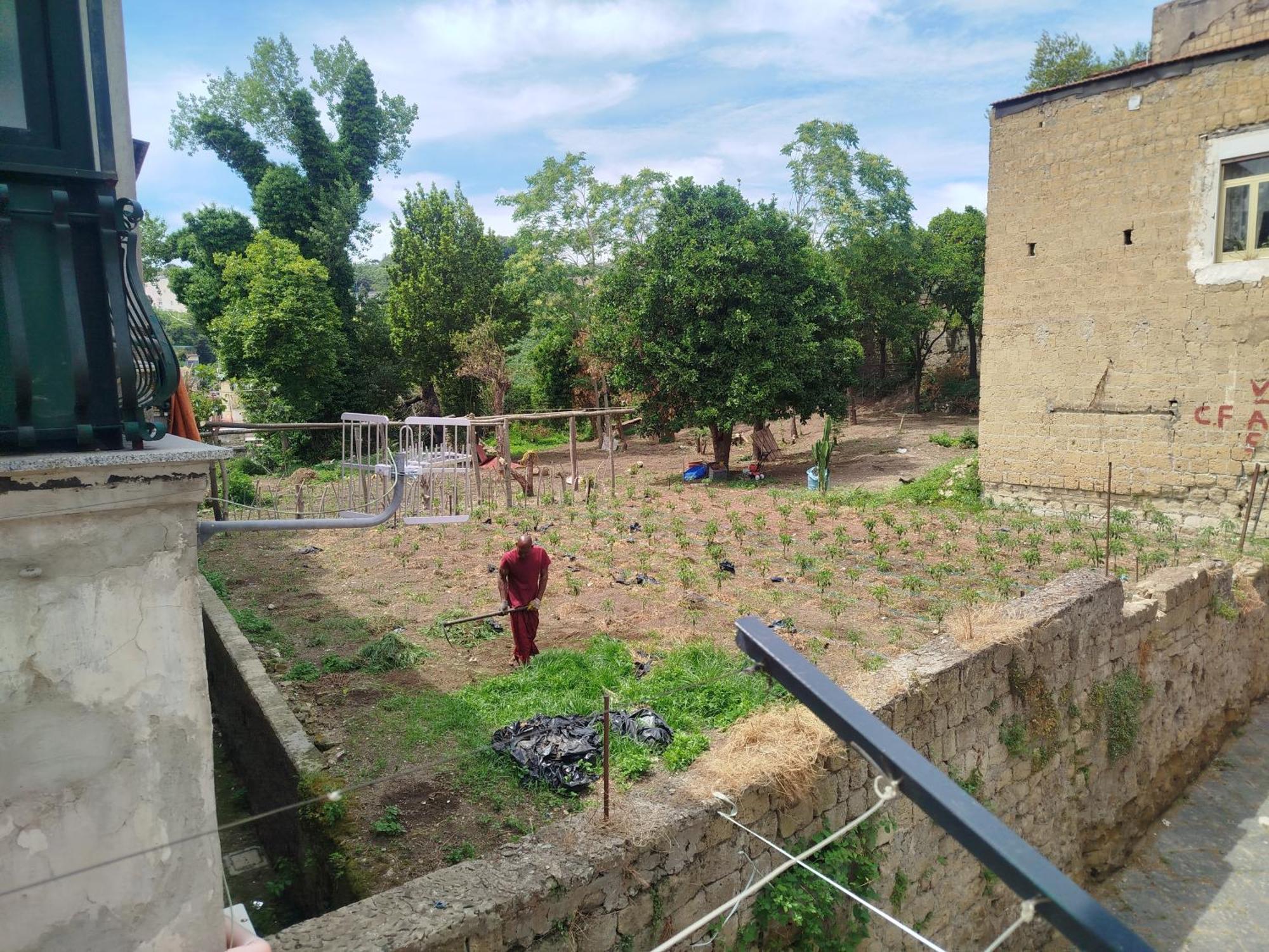 Apartment Tra I Giardini Della Scalinata Di San Gennaro