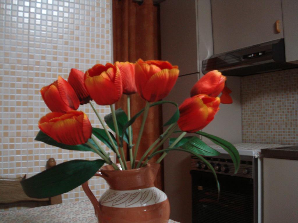 Apartment Orange House