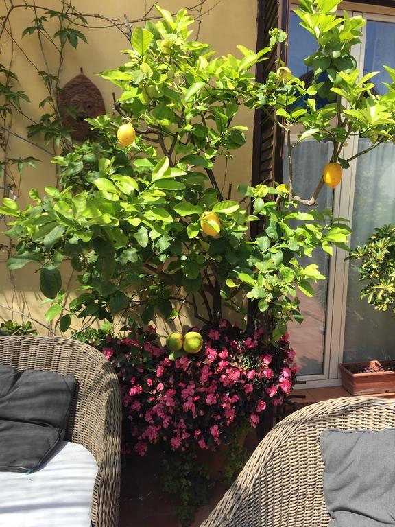 Terrazza Duomo Bed & Breakfast