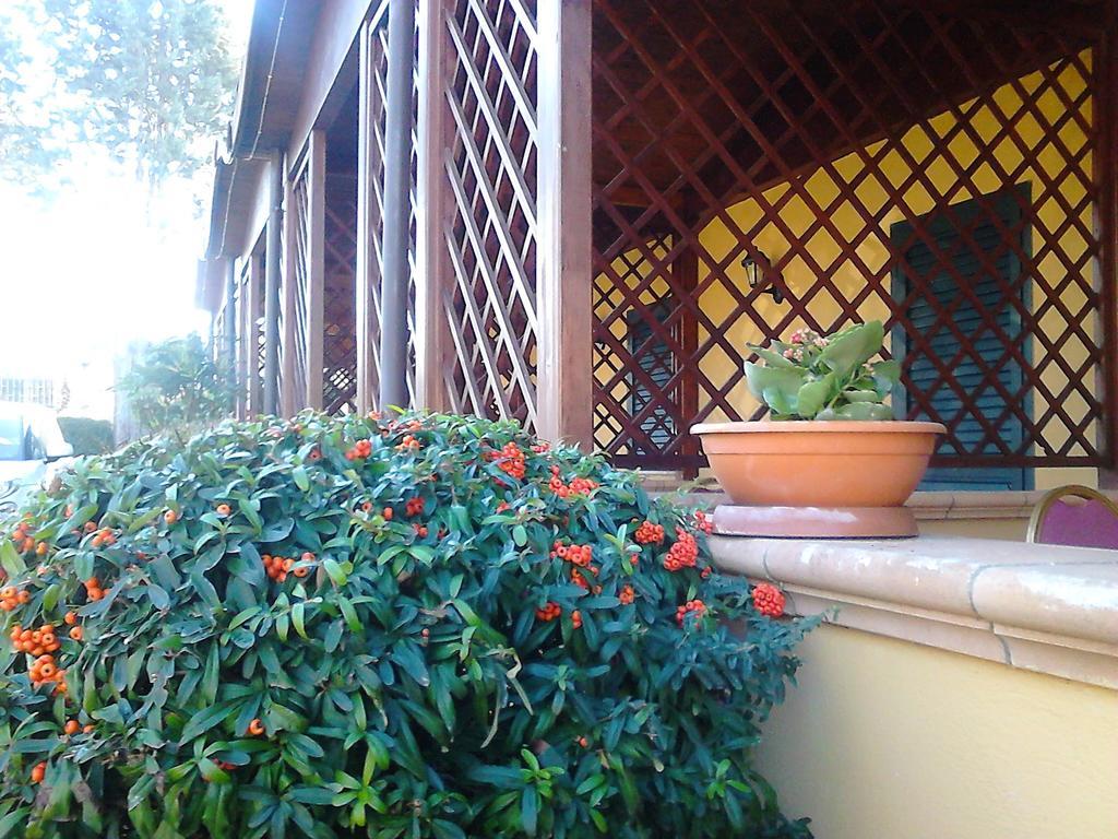 Hotel Federico Ii Naples