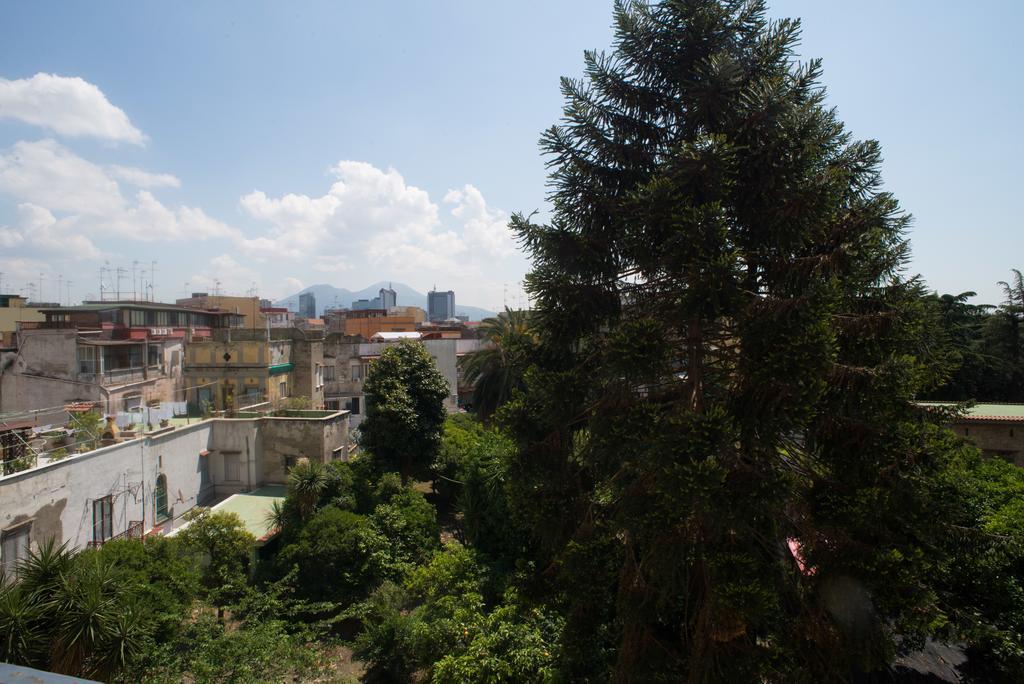 Guest house Milionaria 3*