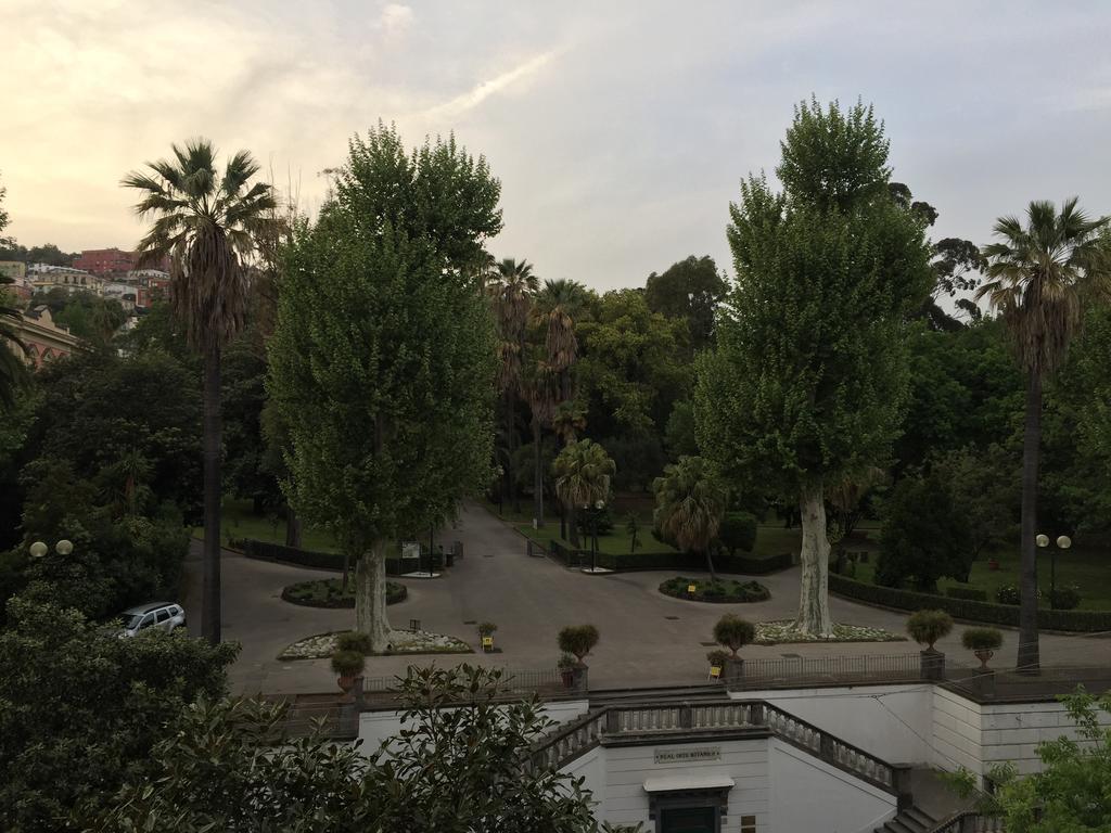 Guest house Milionaria