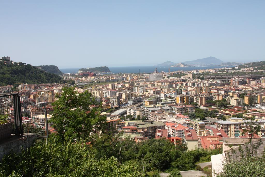 Vacation Agrumeto Flegreo Holiday home Naples