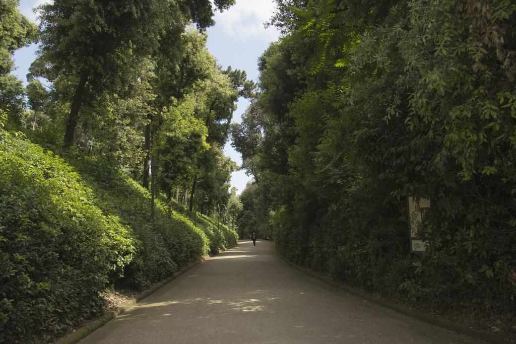 La Civetta Sul Como Bed & Breakfast