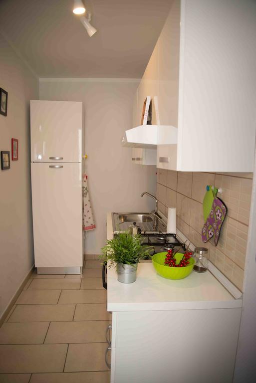 Apartment Carol House