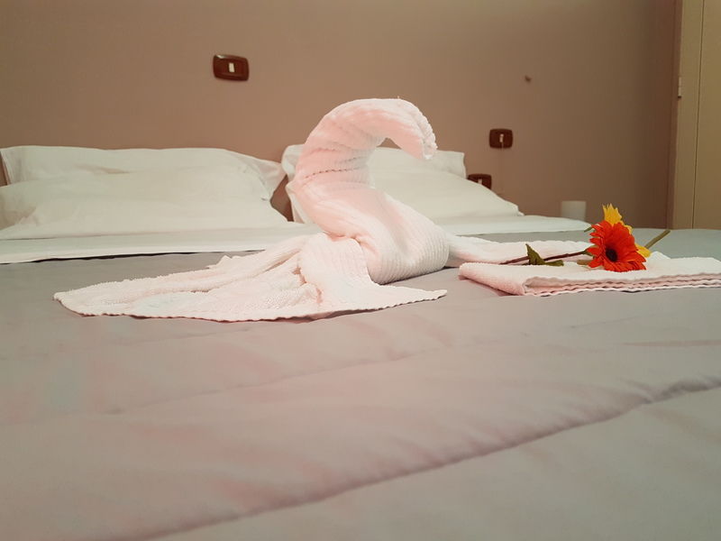 Le Orchidee