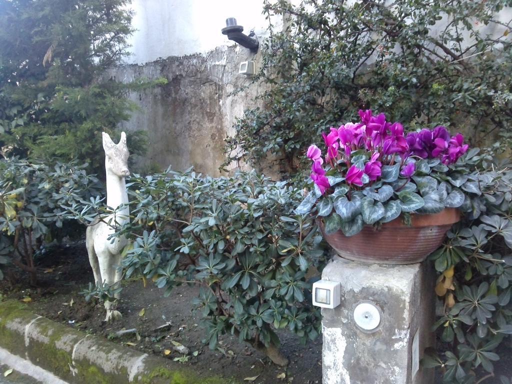 Bed & Breakfast Domus Aurea Naples