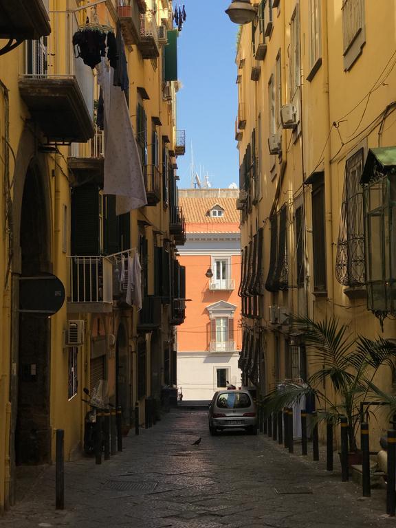 Casa Del Plebiscito Apartment