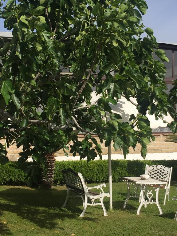 Zia Bi Bed & Breakfast Naples
