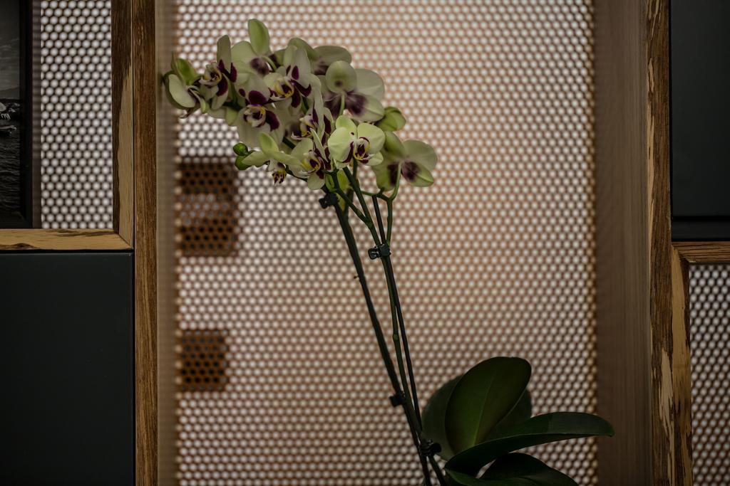 The Boutique 2* Naples