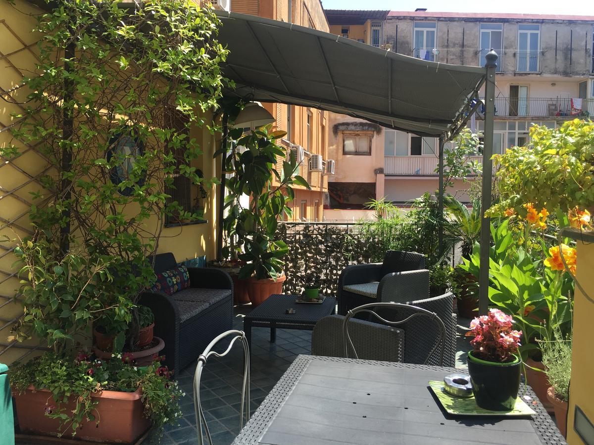 Bellini 3*
