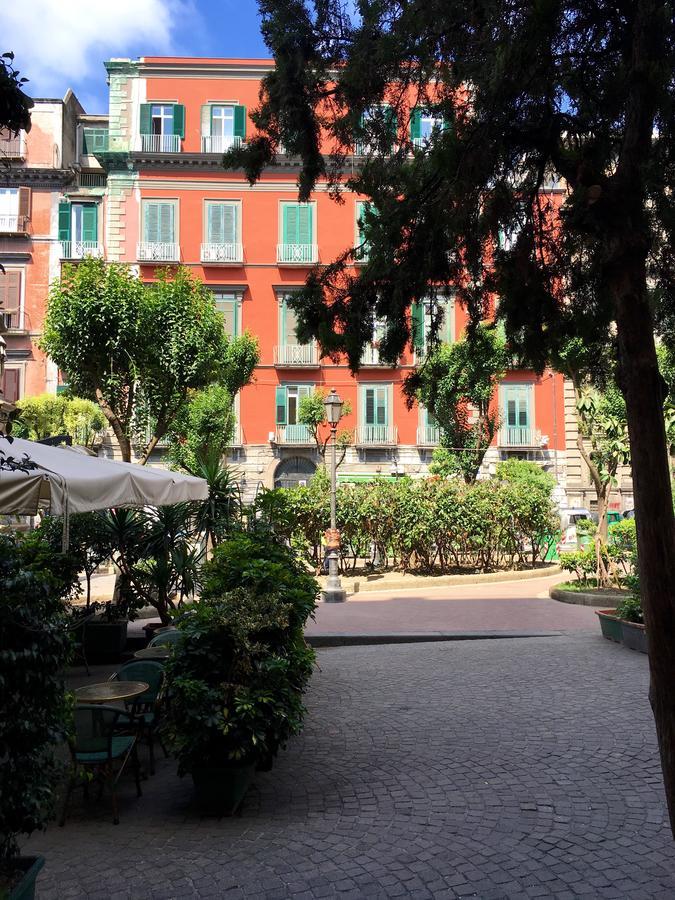 Bellini 3*