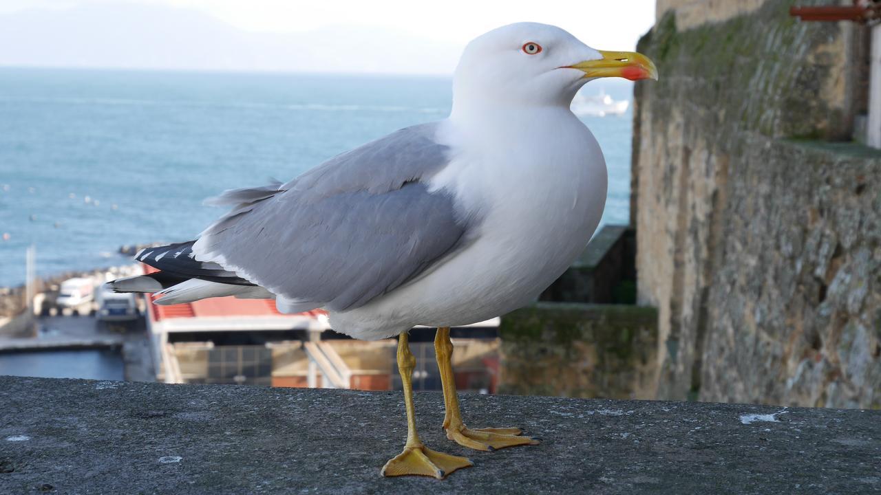 A Casa Di Grazia