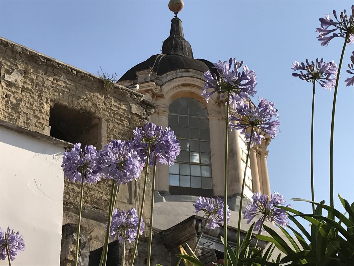 La Terrazza Bed & Breakfast