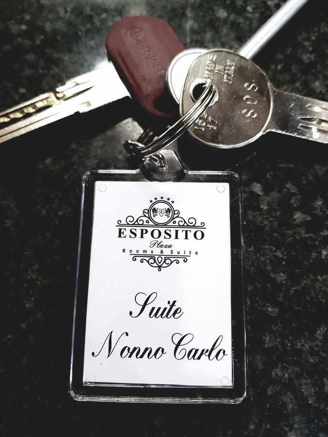 Esposito Plaza- & Guest house *