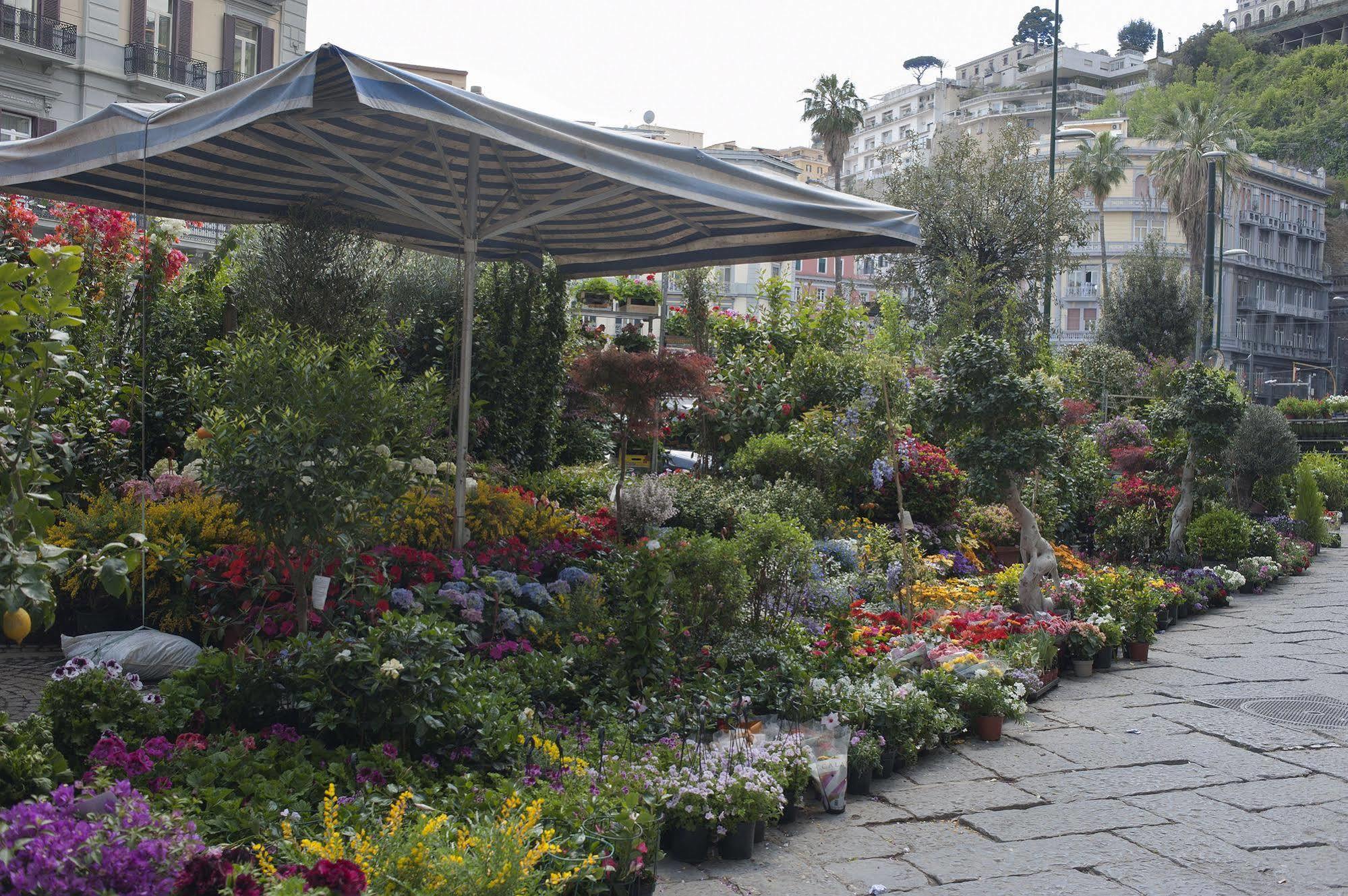 Bed & Breakfast Areamare Naples