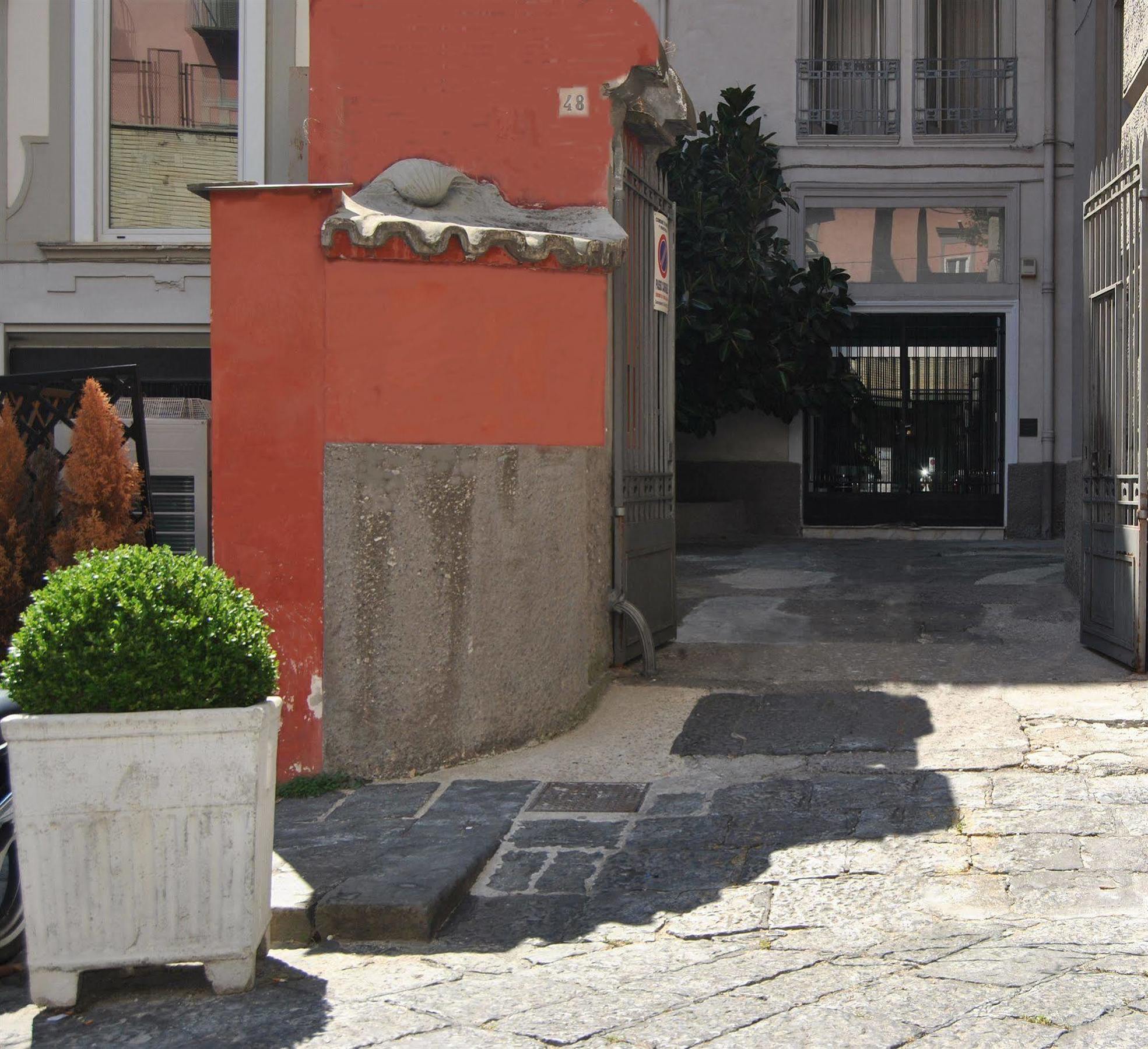 Serenella Naples