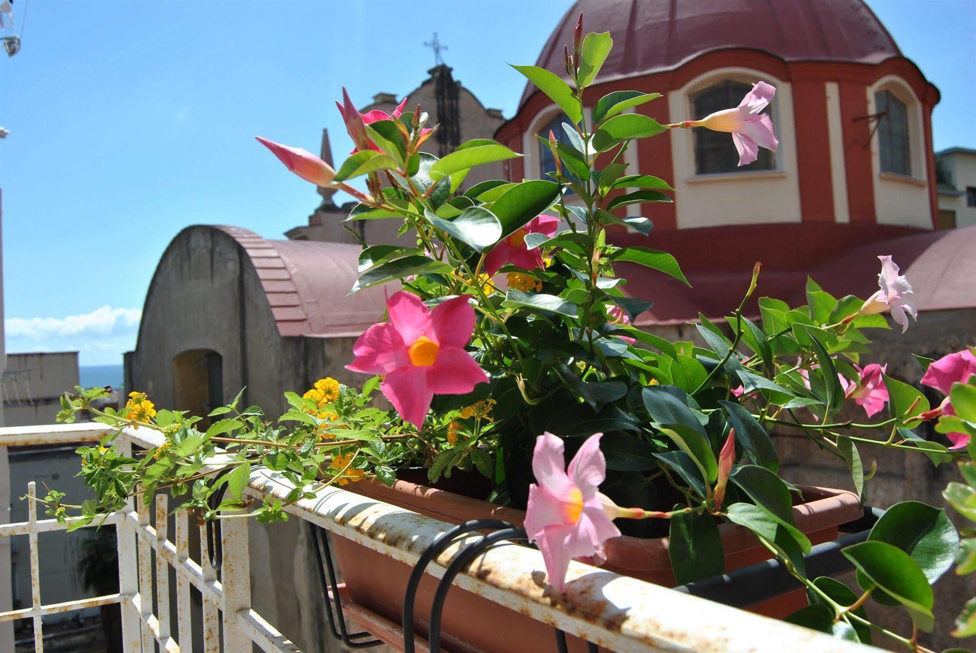 Bed & Breakfast Serenella Naples