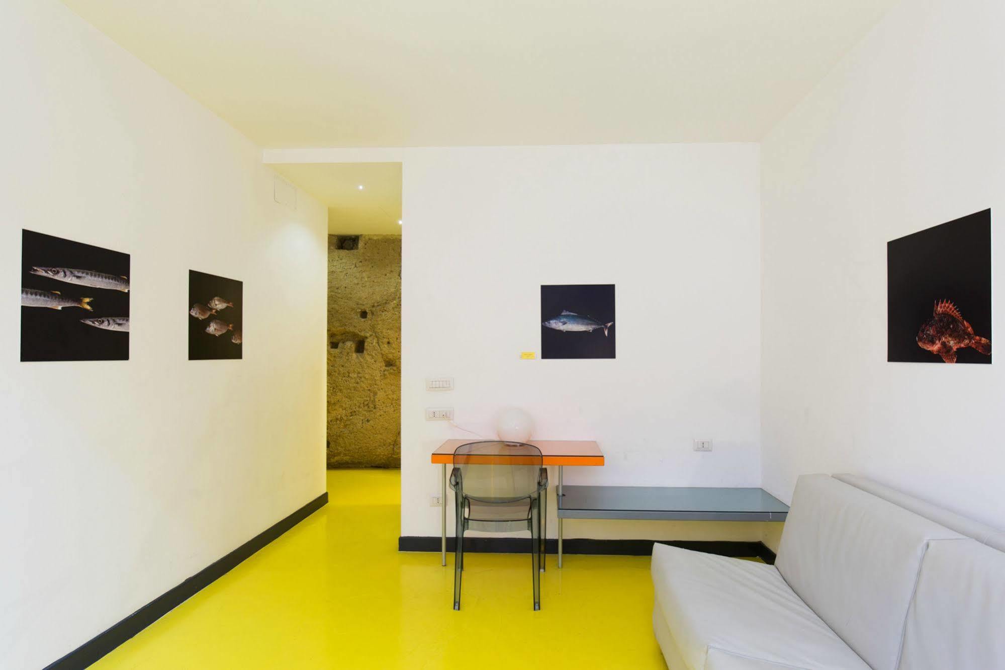 Correra 241 Lifestyle 3*
