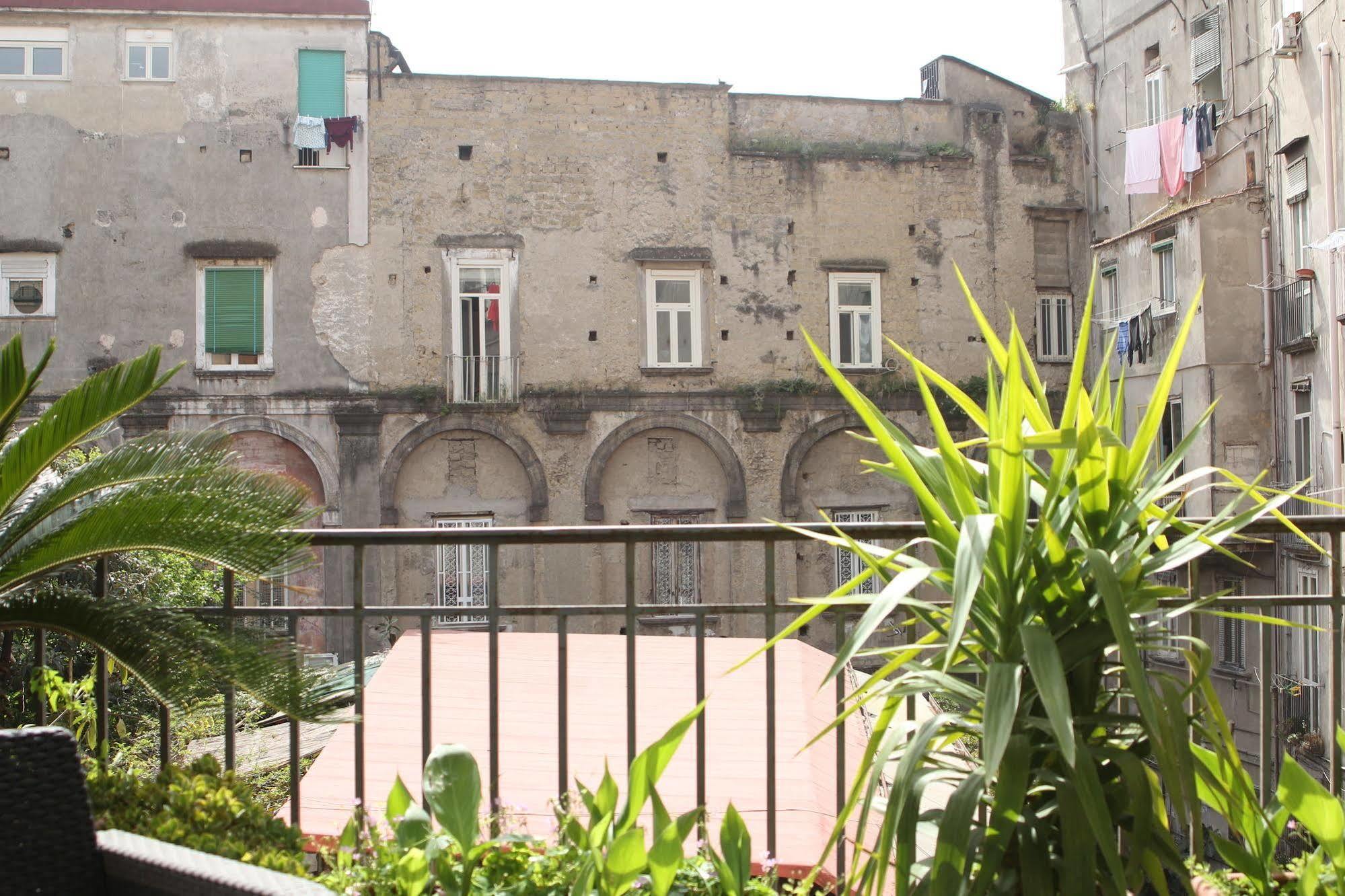 Bellini 3*