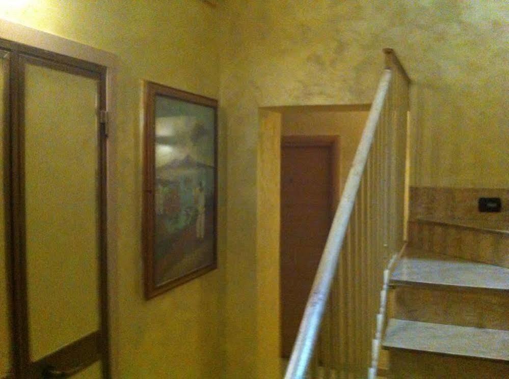 Hotel Viola 3*