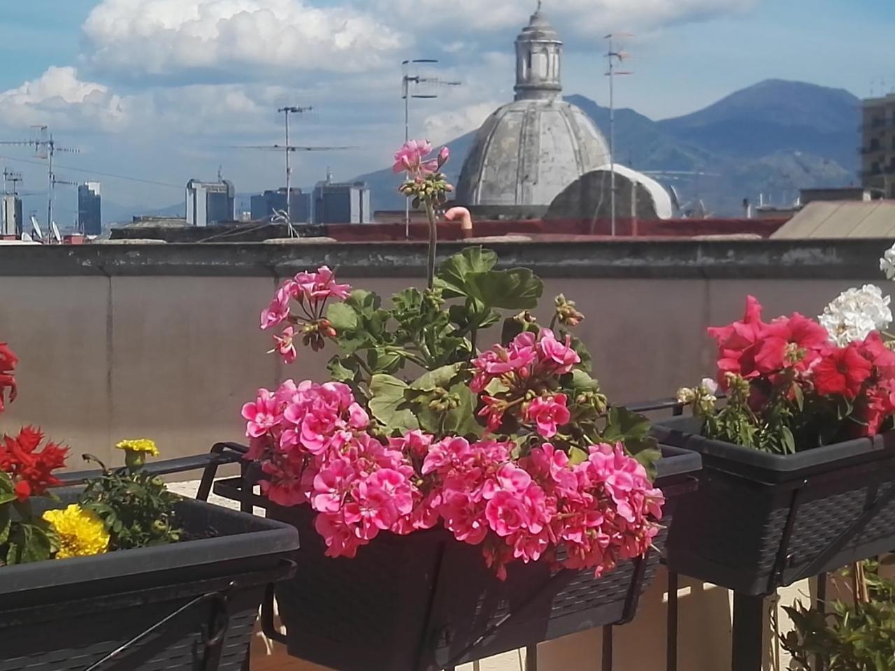The Spanish Palace, Suites, Rooms, & Terraces 3*