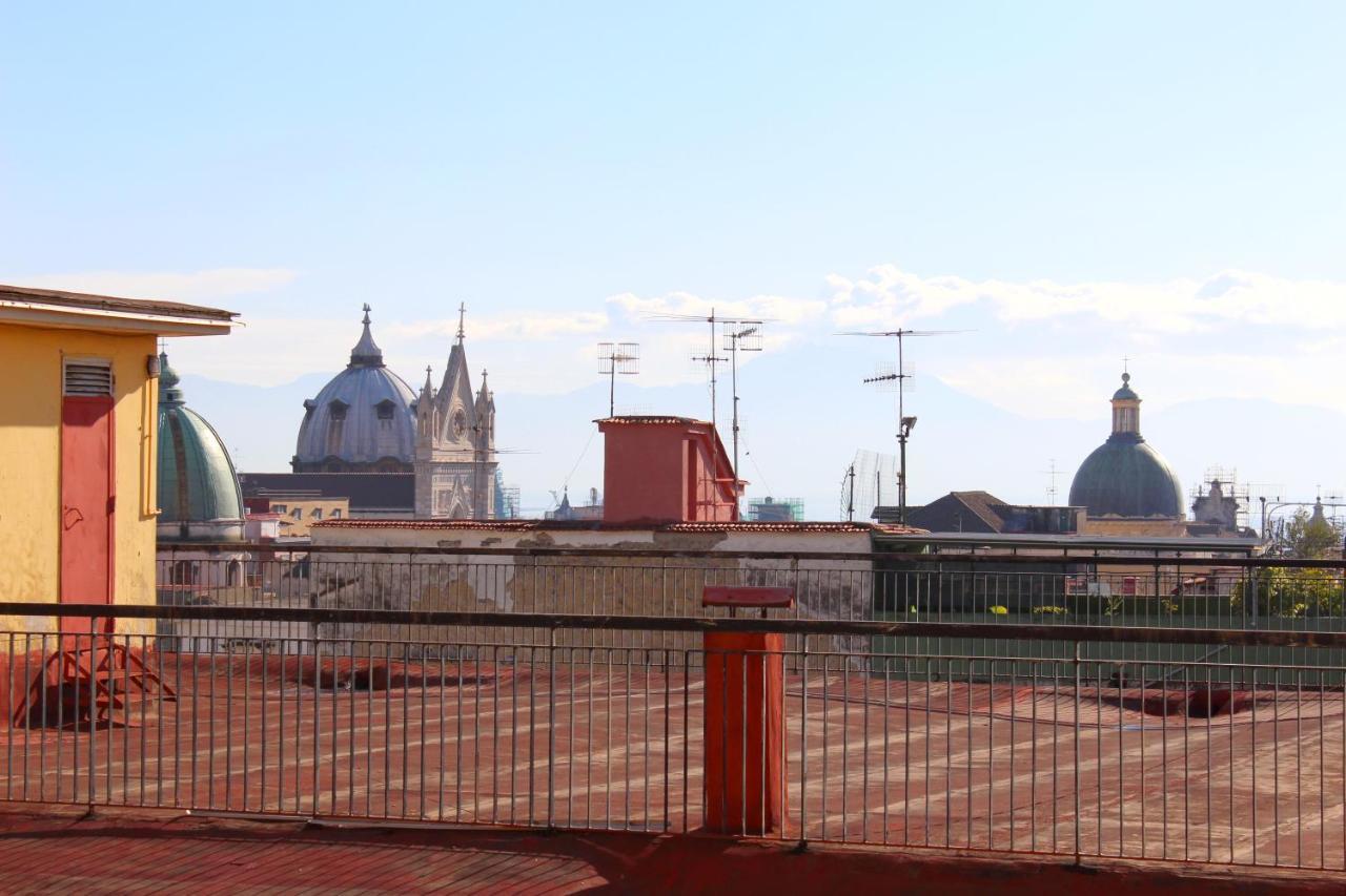 Le Stelle Del Museo