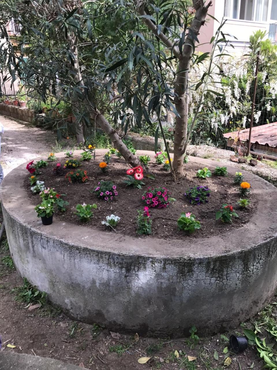 Il Giardino Di Vico Neve 3*