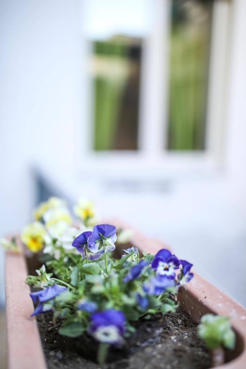 Guest house Il Vicoletto Di Santa Lucia Naples