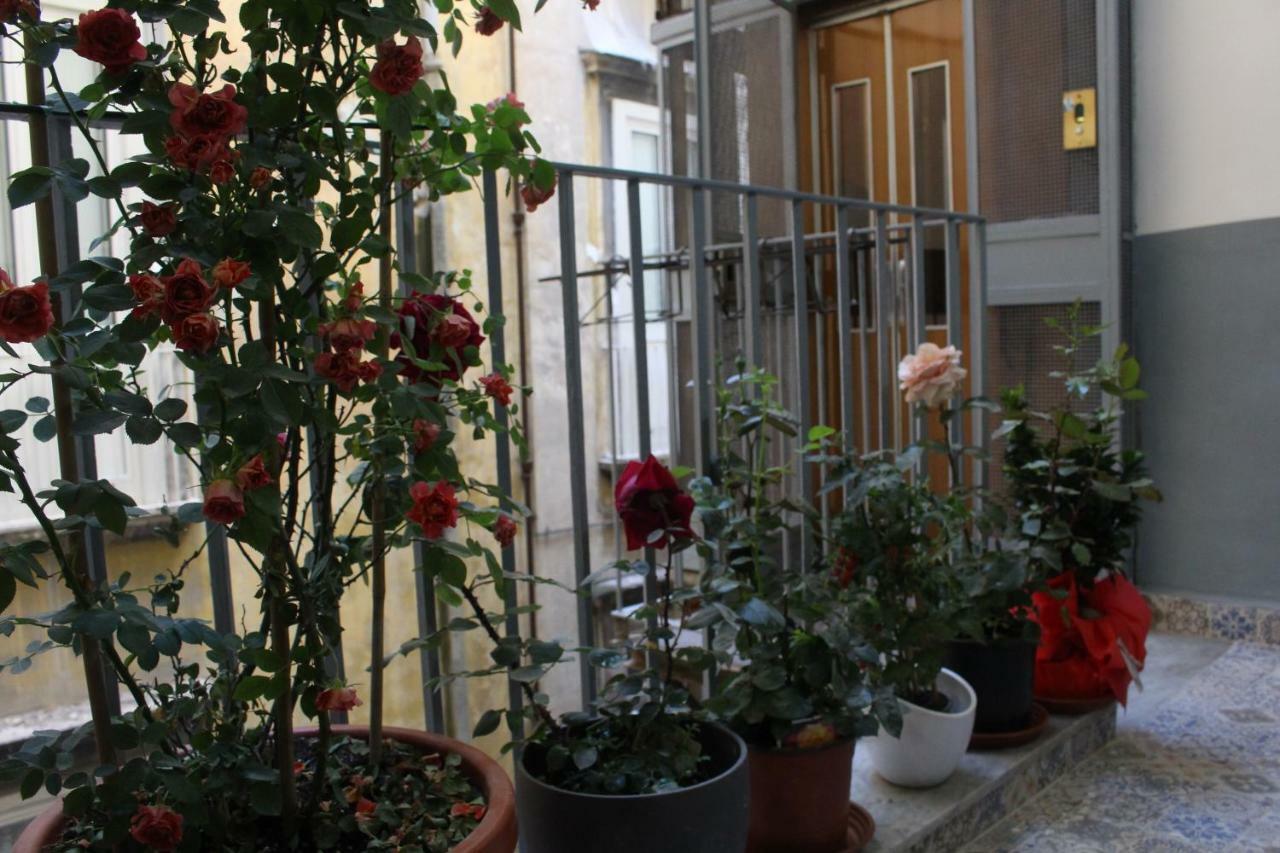 Speranzella 86 Guest house