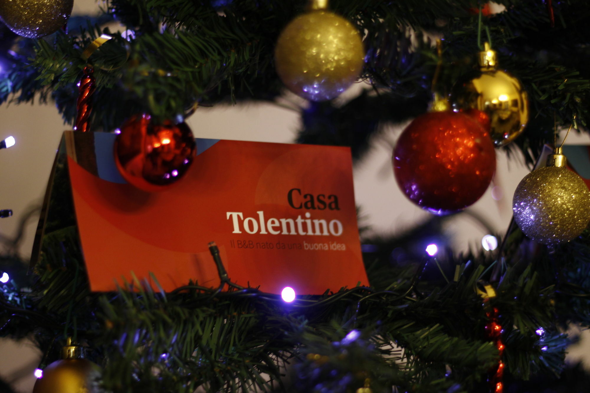Guest house Casa Tolentino Naples