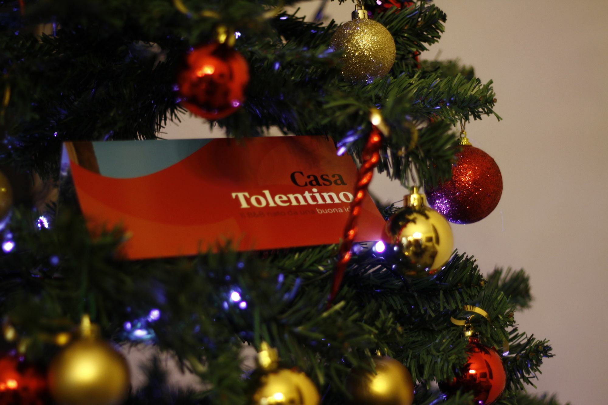 Casa Tolentino Guest house