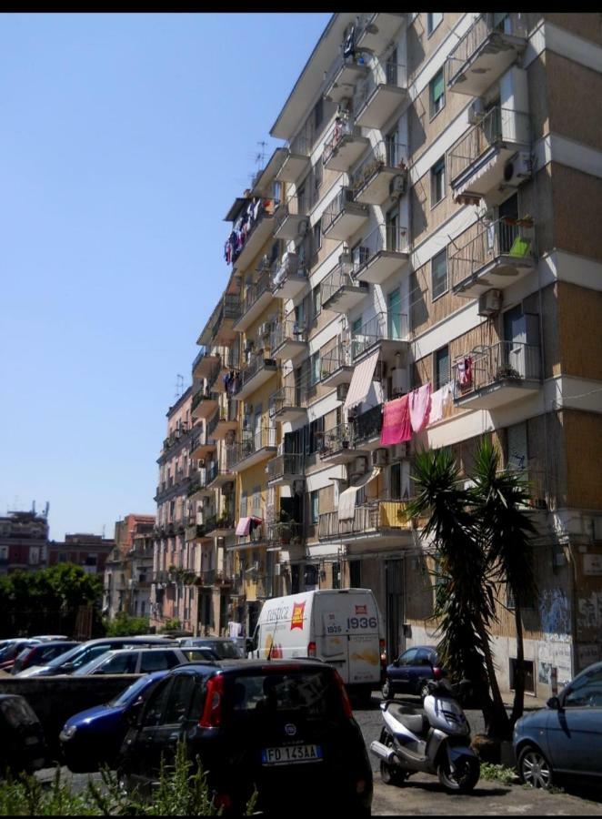 Bed & Breakfast Rosy *