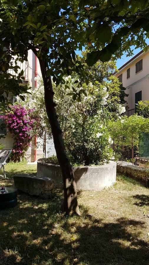Il Giardino Di Vico Neve Naples