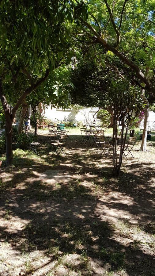 Il Giardino Di Vico Neve 3* Naples