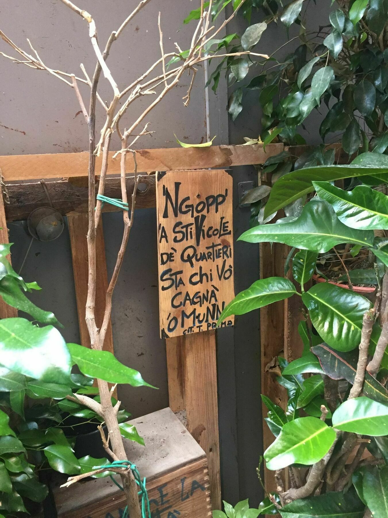 Vicoli Di Naples