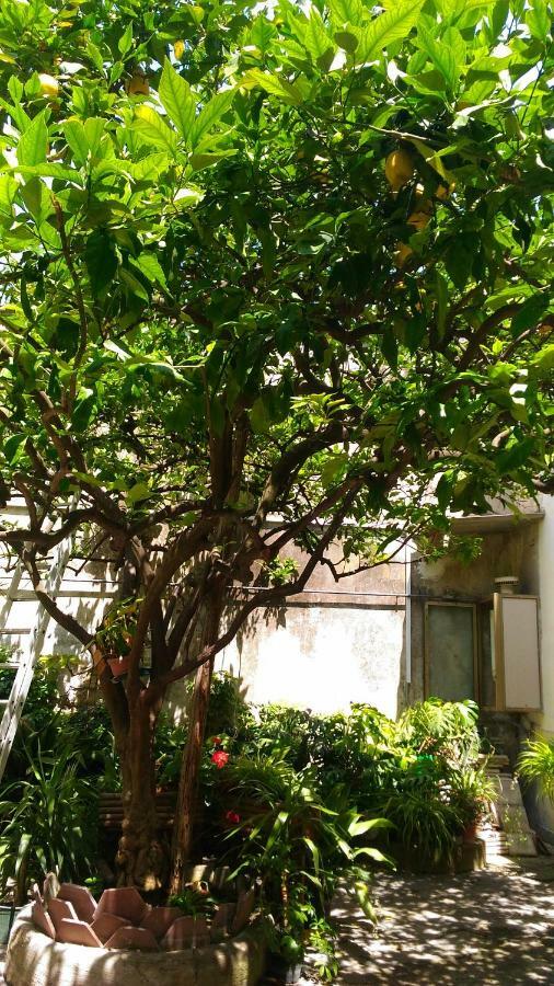 Bed & Breakfast Santa Maria Maddalena