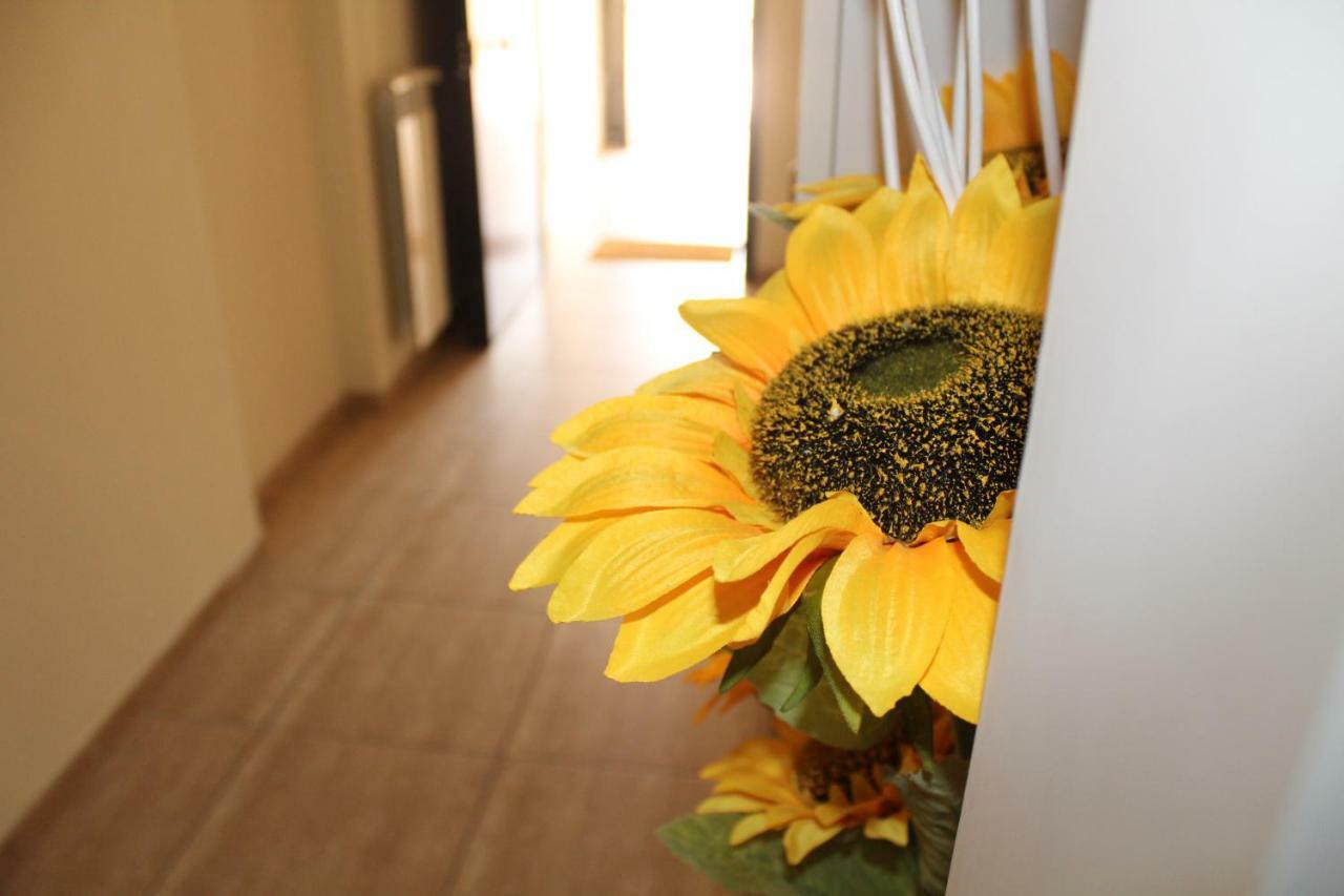 Apartment L'occhio Sul Vesuvio Con Terrazza Privata E Casa Senza Terrazza Privata