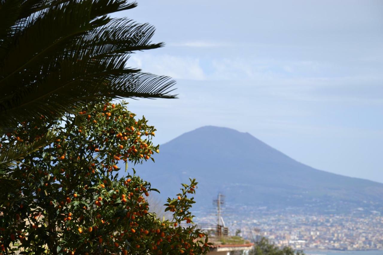 Apartment Casa Del Cedro Naples