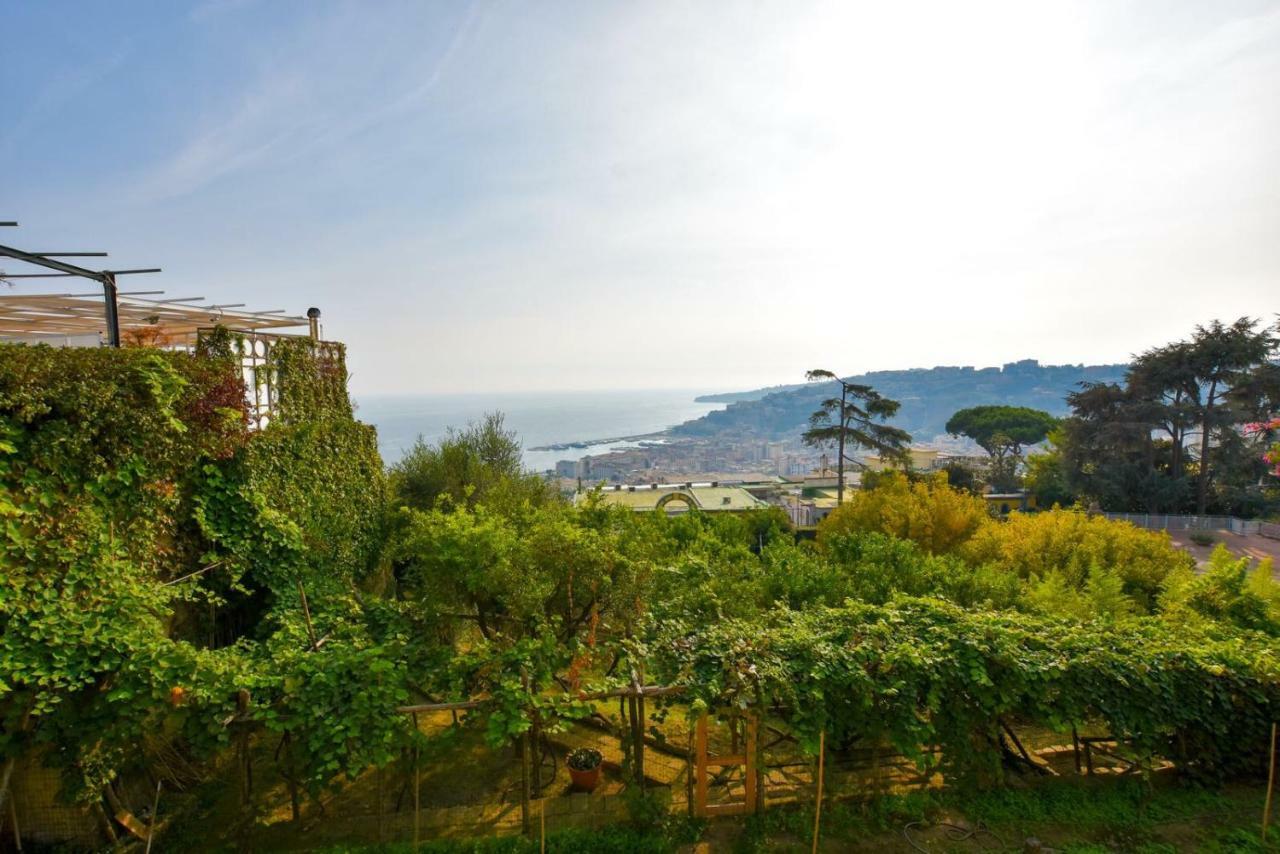 Sunplace Guest house *