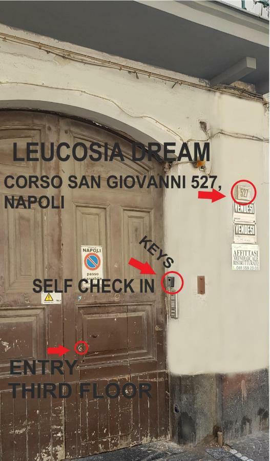 Leucosia Dream *