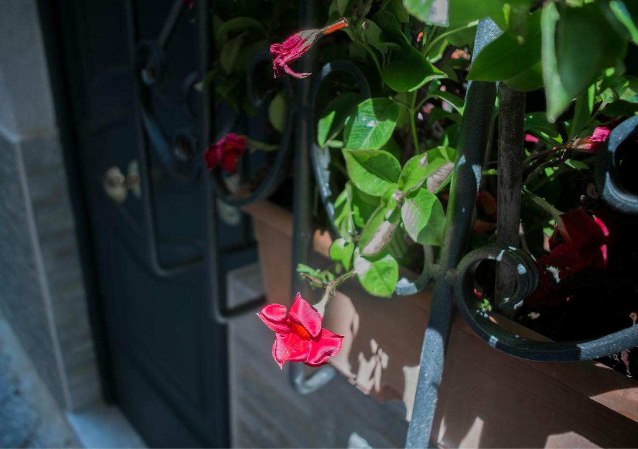 Vecchia 20 Holiday home Naples