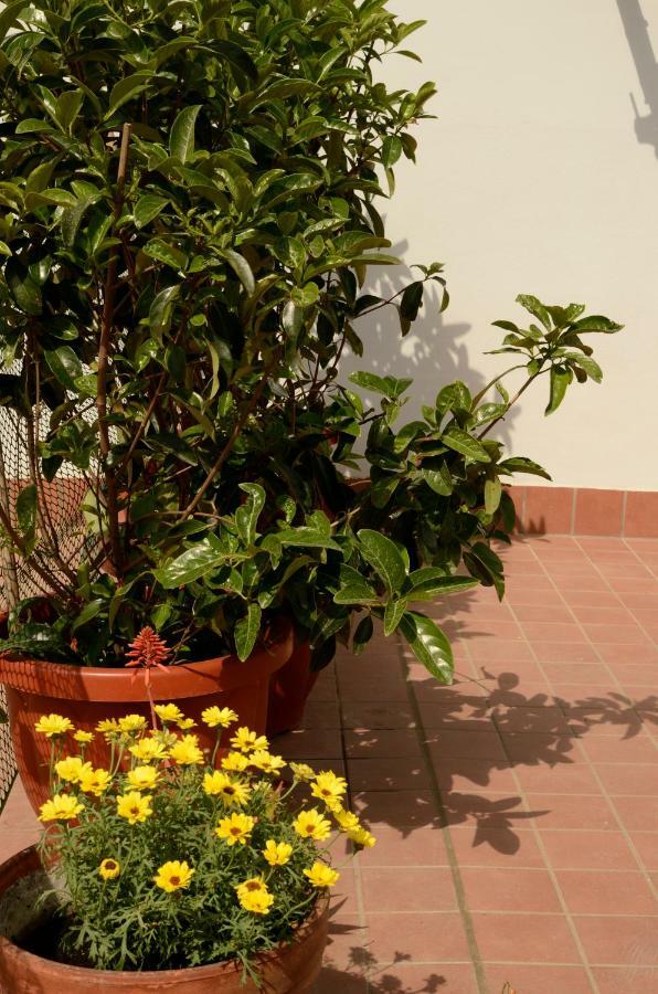 Terrazza Eurialo Naples