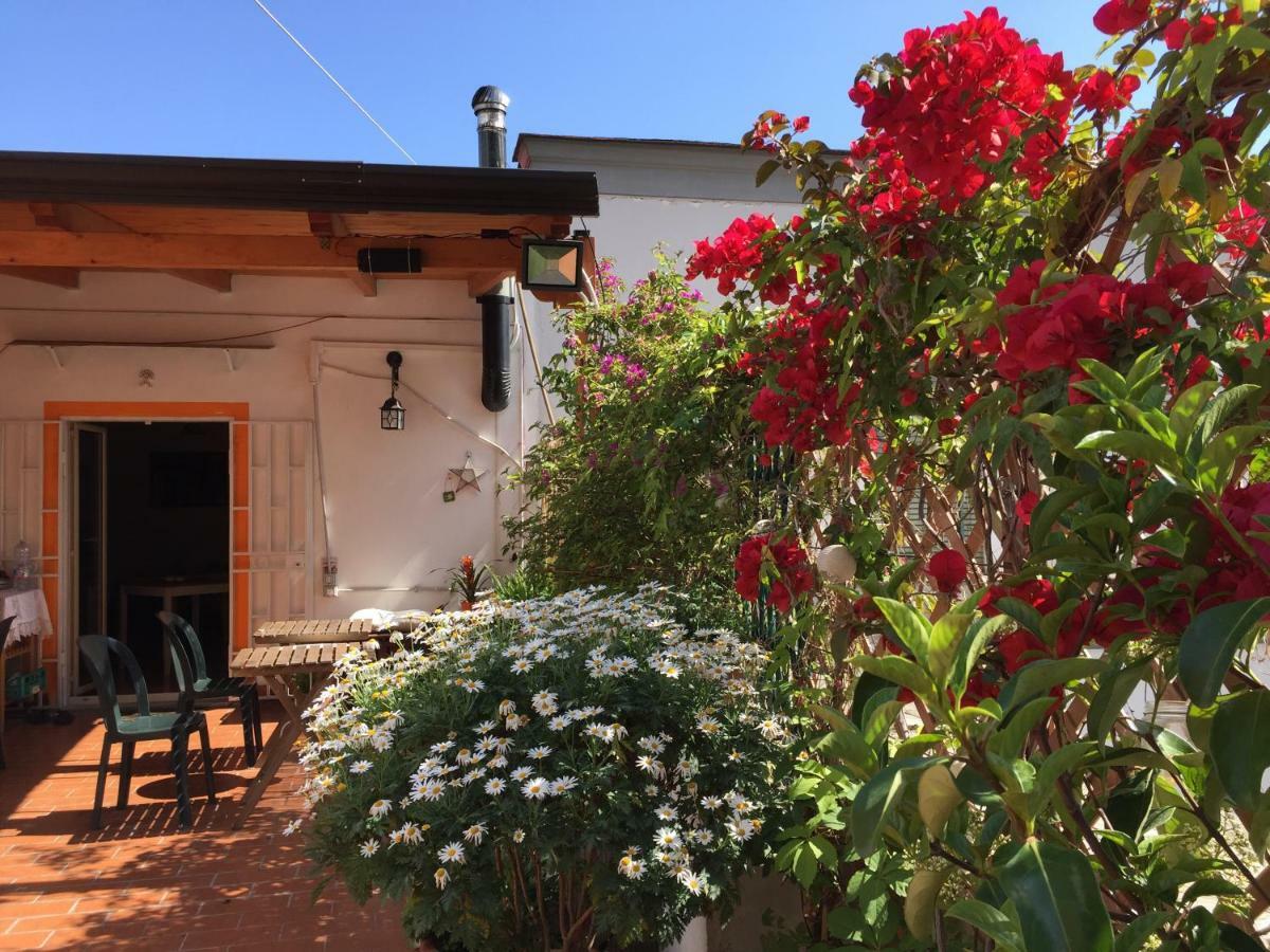 La Terrazza Bed & Breakfast
