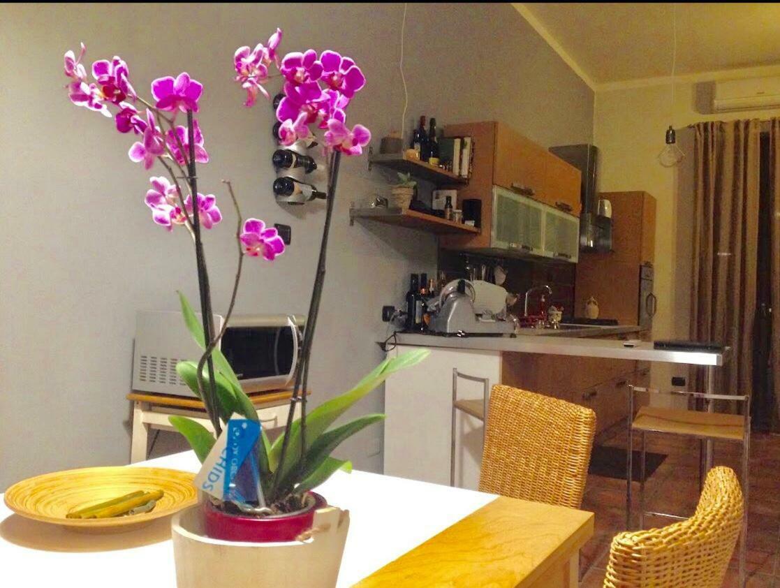 Apartment Zoe Naples