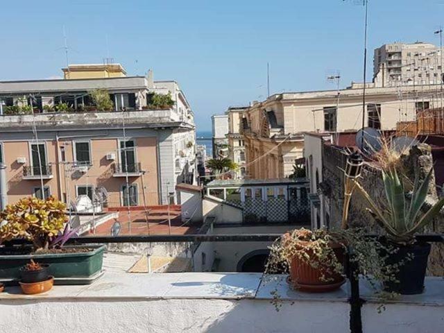 Amendola Guest house