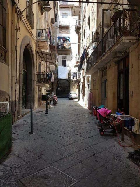 Guest house Amendola