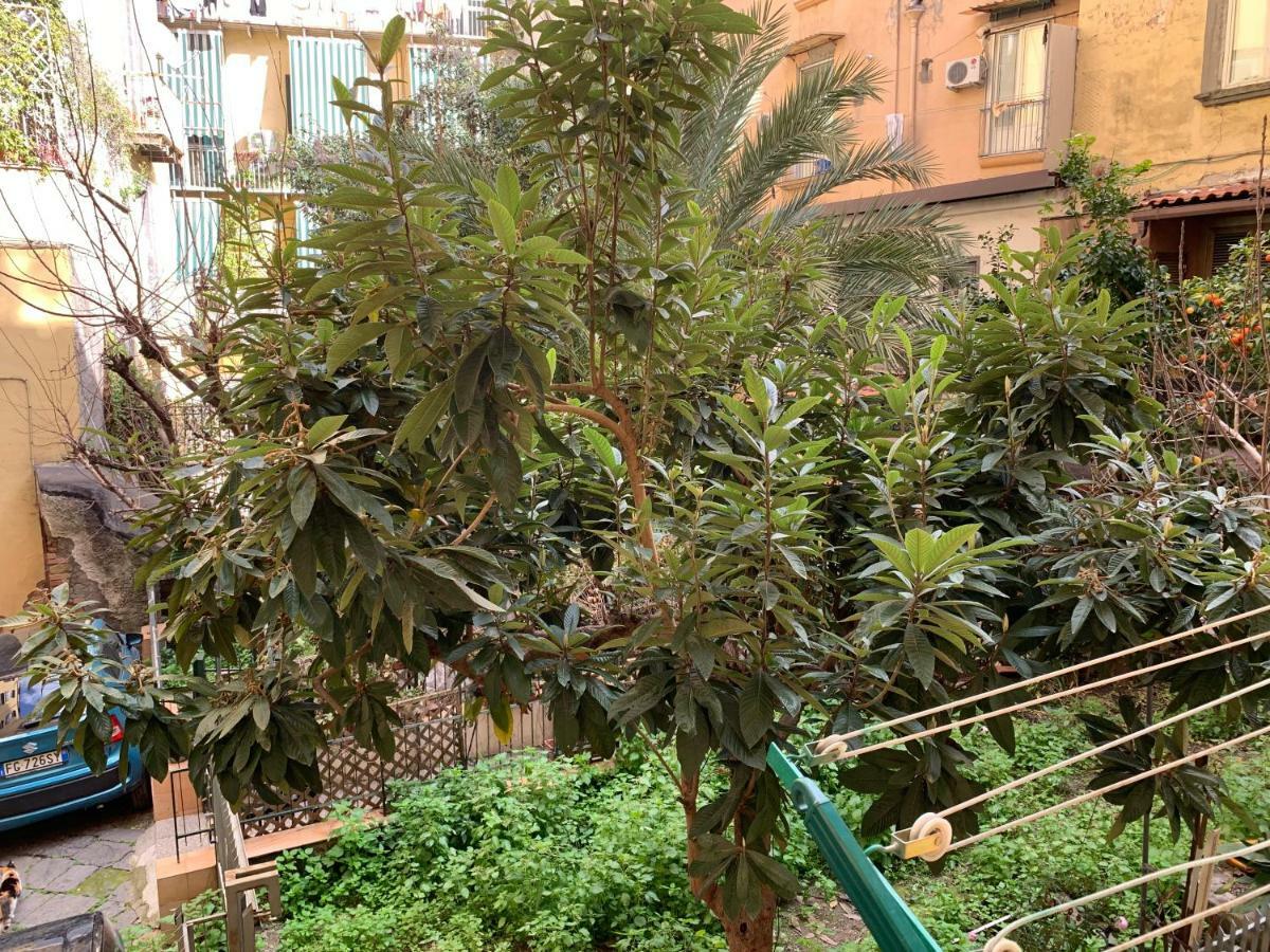 Da Ninetta Resterete Senza Parole, Garantito! Naples